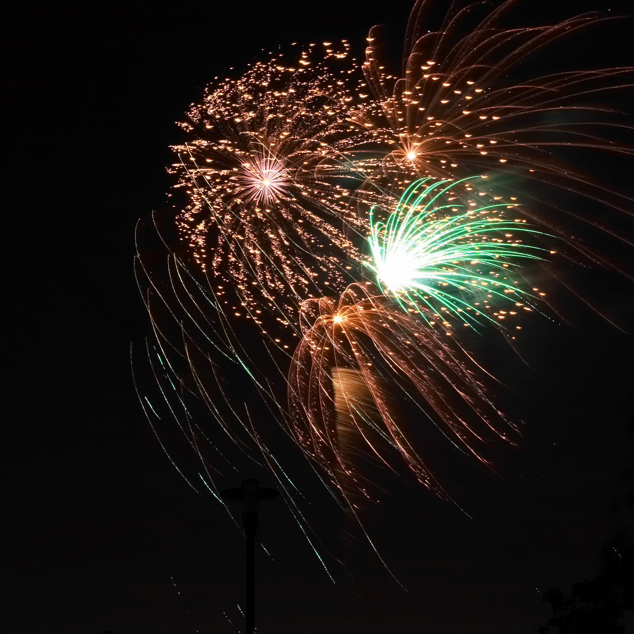 Fireworks and bonfire night fear for pets. © Jason Smith | Dreamstime Stock Photos